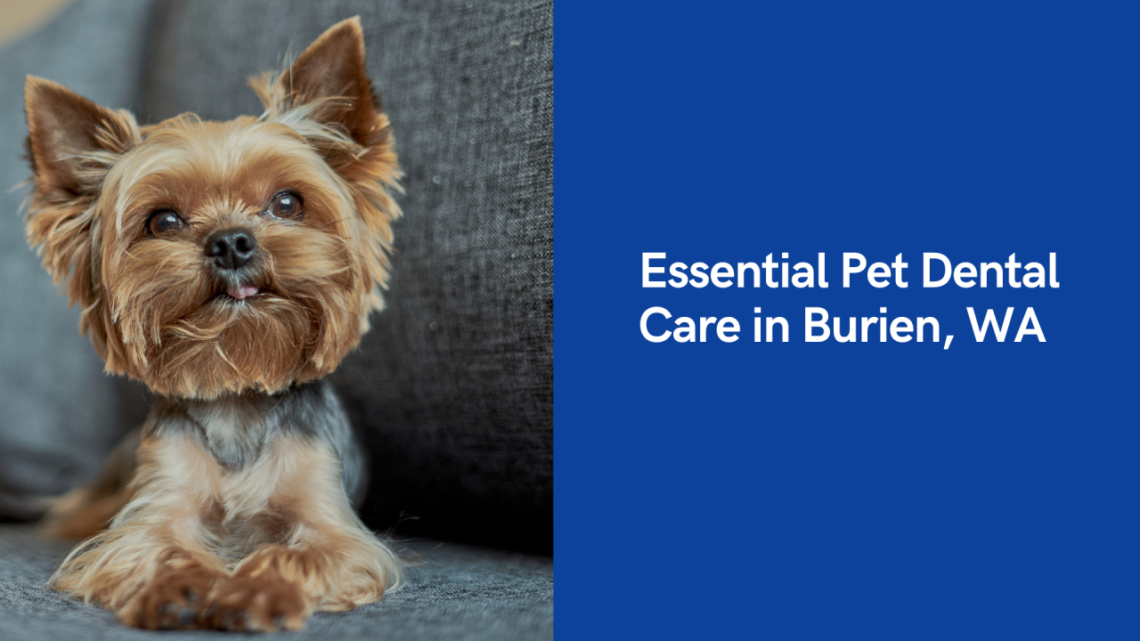 Essential Pet Dental Care in Burien, WA