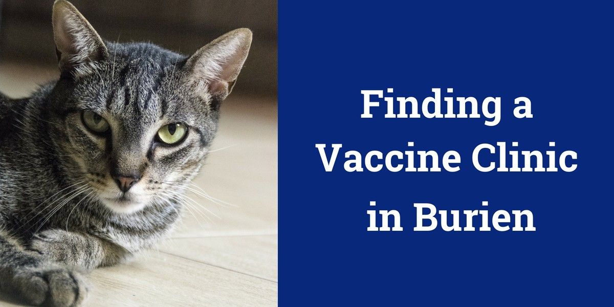 Finding-a-Vaccine-Clinic