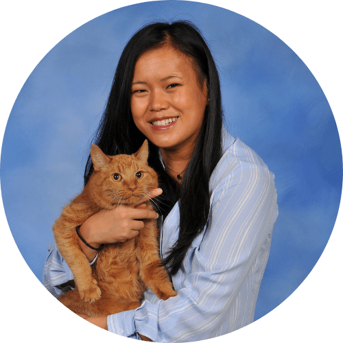 Smiling person holding an attentive ginger cat against a blue background.