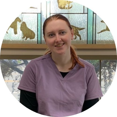 Person with red hair wearing a purple scrub top, sitting and smiling in front of a decorative glass panel with animal designs.