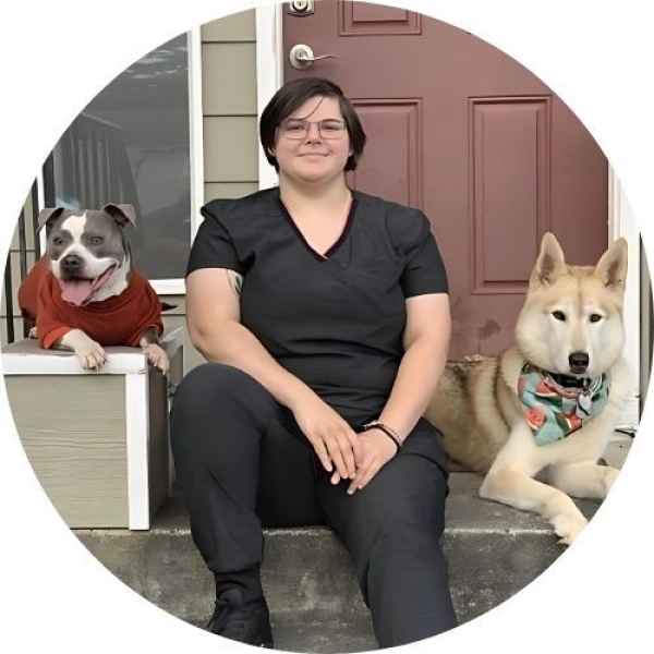 Person in black outfit sitting on steps with a pitbull in a red shirt and a husky wearing a bandana.