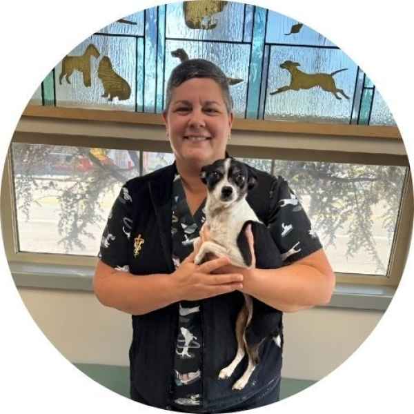 Smiling person holding a small black and white dog in front of a window with decorative animal patterns.