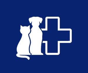 Silhouette of a cat and dog next to a large medical cross on a blue background.