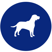 Silhouette of a standing dog inside a blue circle.