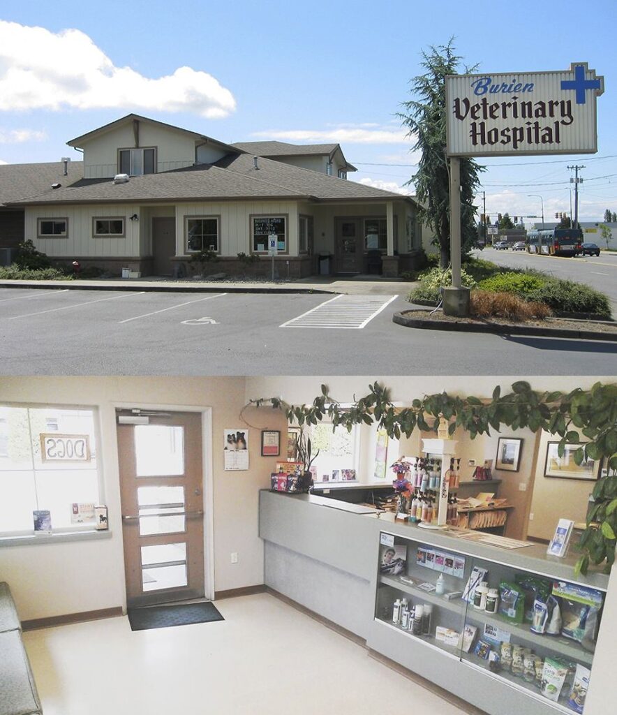 Exterior sign and interior of a veterinary hospital, featuring a reception desk and waiting area with pet products displayed.