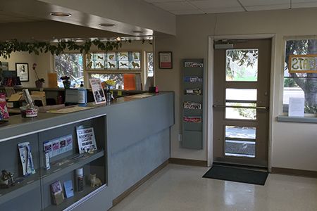 A reception area with a counter displaying brochures, a glass cabinet, and a door with windows.