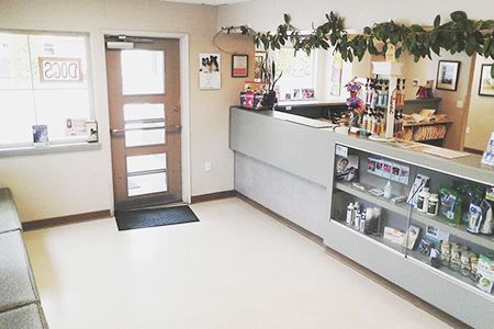 A veterinary clinic reception with a front desk, product display, and a door marked "Dogs" in the background.