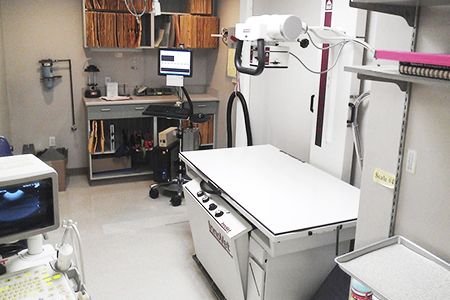 Veterinary examination room with an X-ray machine, computer, and medical equipment on shelves and counters.