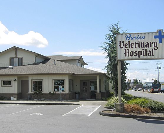 A veterinary hospital with a wooden exterior and a sign reading "Burien Veterinary Hospital" next to a parking lot.