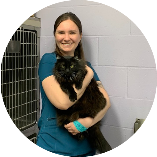 Person smiling and holding a fluffy black cat in an indoor setting, next to animal cages.