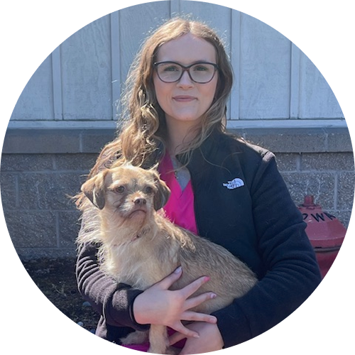 A person with glasses and long hair holds a small, brown dog while standing outside.