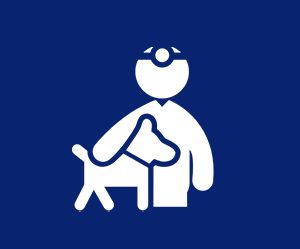 Icon of a veterinarian with a stethoscope examining a dog, set against a blue background.