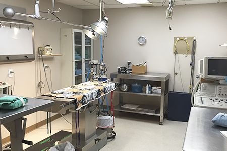 Veterinary examination room with surgical table, medical equipment, and cupboards, well-lit by overhead lights.