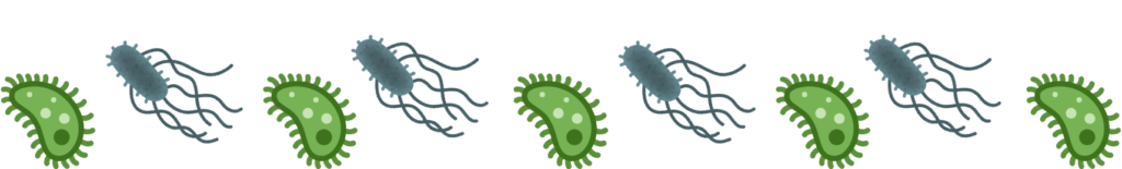 Veterinarian performing a parasite wellness exam for a cat at Burien Veterinary Hospital in Burien to protect dogs and cats from common parasites