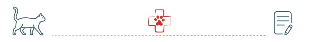 pet insurance helps cover emergency veterinary care at Burien Veterinary Hospital in Burien WA