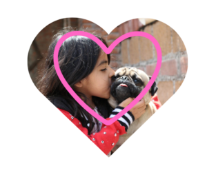 Experienced vet in Burien, WA providing personalized veterinary care at Burien Veterinary Hospital