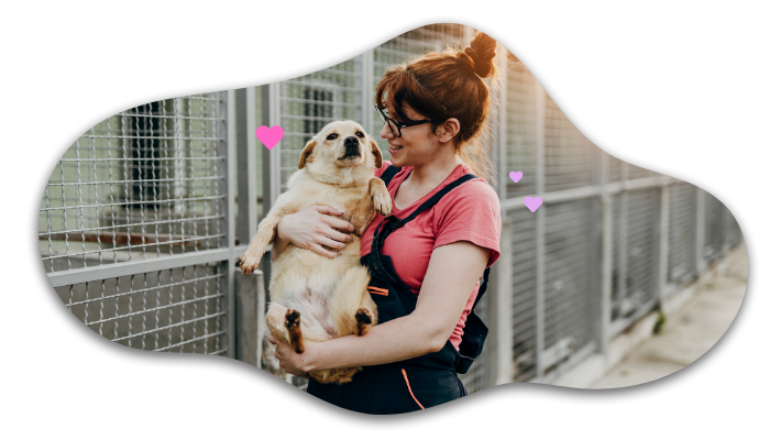 Shelter dog in Burien after adoption with guidance from Burien Veterinary Hospital