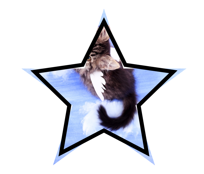 A mythical cat with wings