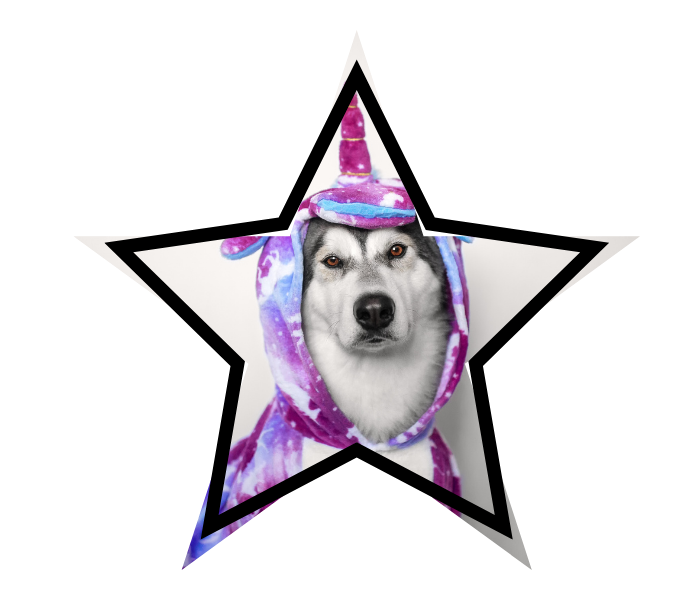 A dog wearing a unicorn costume, representing how animal care in Burien should not be based on myths