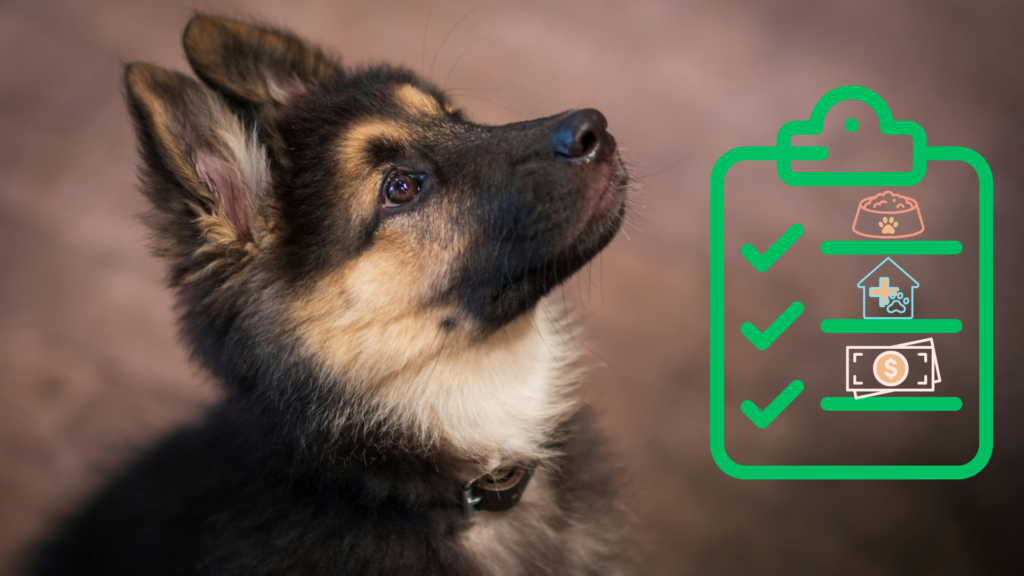 German Shepherd puppy beside a new pet care checklist for pet owners in Burien, WA
