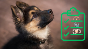 German Shepherd puppy beside a new pet care checklist for pet owners in Burien, WA