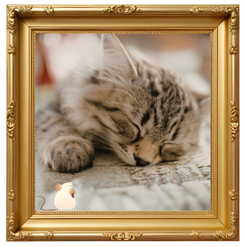 A sleeping cat photo in a picture frame at Burien Veterinary Hospital in Burien, WA