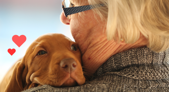 Pet owner holding a new puppy while preparing for pet ownership with Burien Veterinary Hospital in Burien, WA
